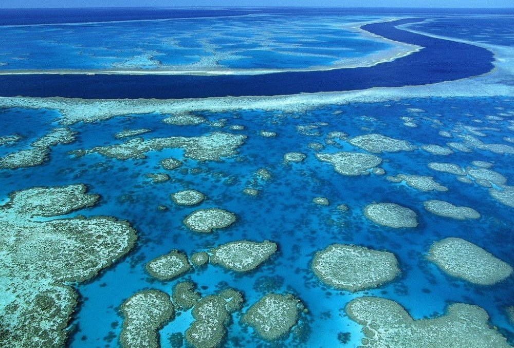 Island in New Zealand Great Barrier Island lies in the outer Hauraki Gulf, New Zealand, 100 kilometres north-east of central Auckland. With an area of 285 square kilometres it is the sixth-largest island of New Zealand and fourth-largest in the main chain. Wikipedia Area: 285 km² Population: 852 (2006)