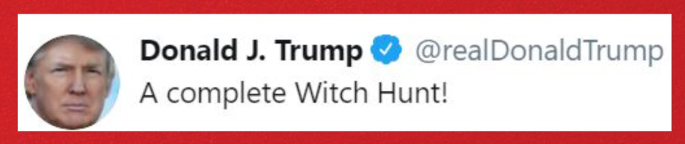 complete witch hunt