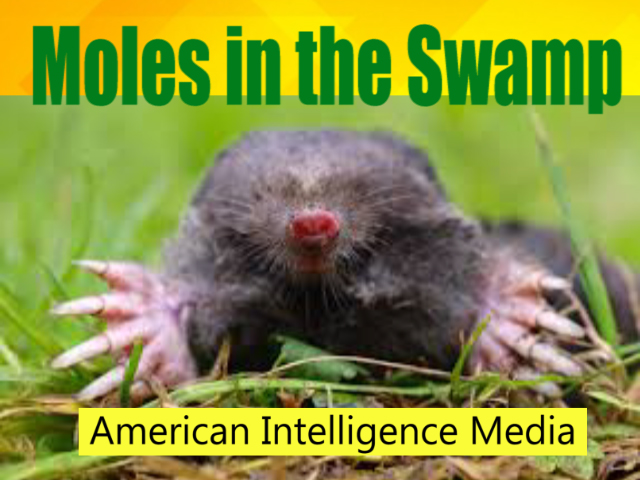 Moles in the Swamp