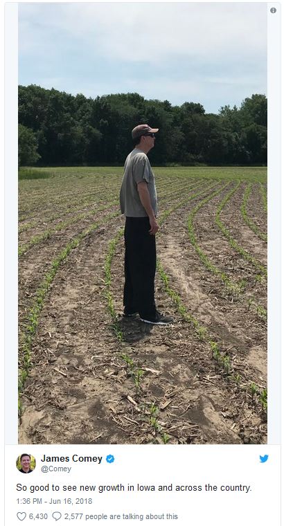 comey in corn field