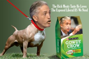 pit-bull-gowdy