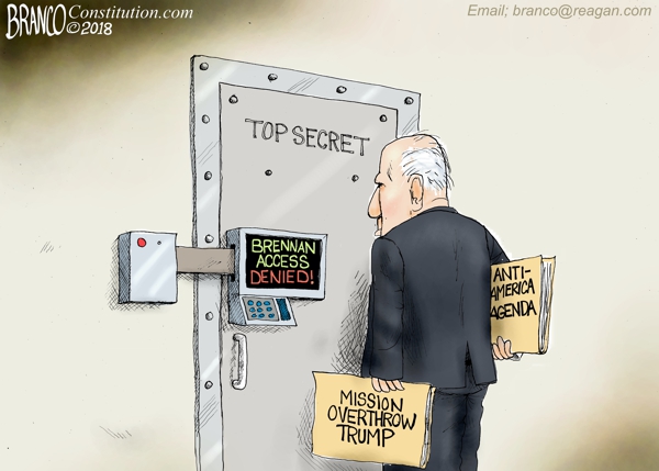 access-brennan-branco