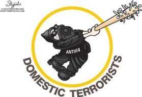 domestic terrorists