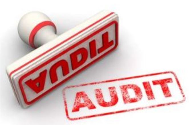 audit stamp.JPG