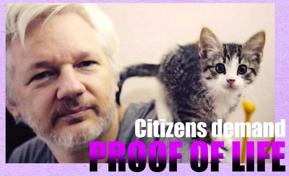 Assange proof of life 2
