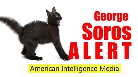 soros alert cat