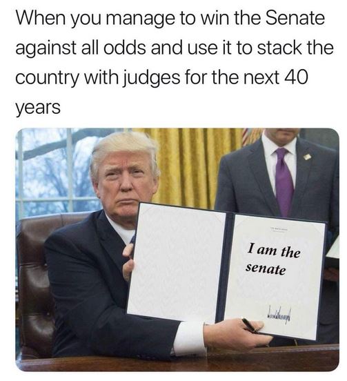 trump senate and court.JPG