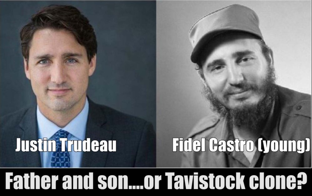 Trudeau castro clone