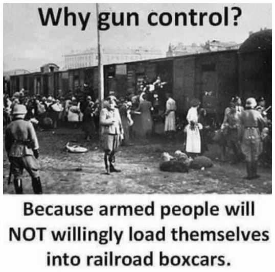 why gun control.JPG