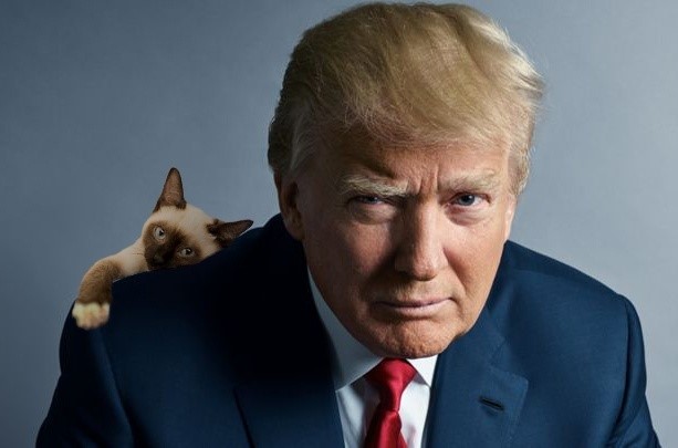 cat loves trump